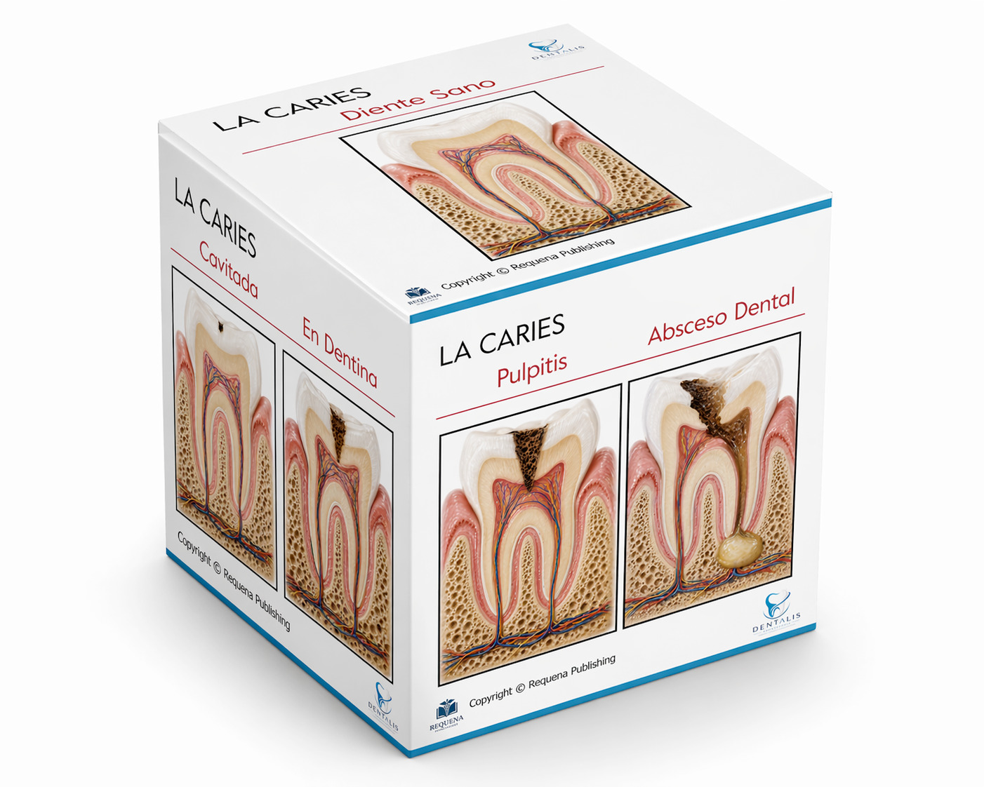 Medical communication cube visual