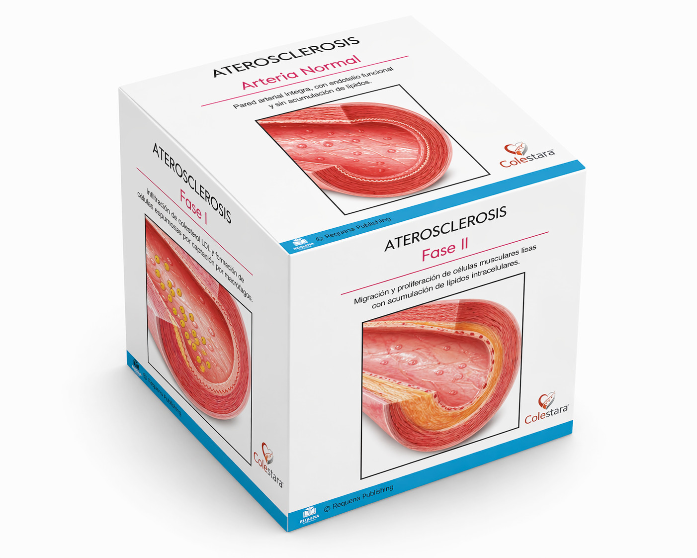 Medical communication cube visual